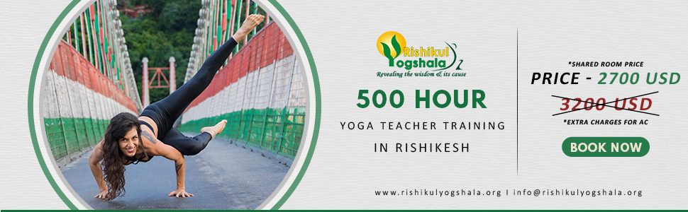 500 hour offer banner Rishikesh