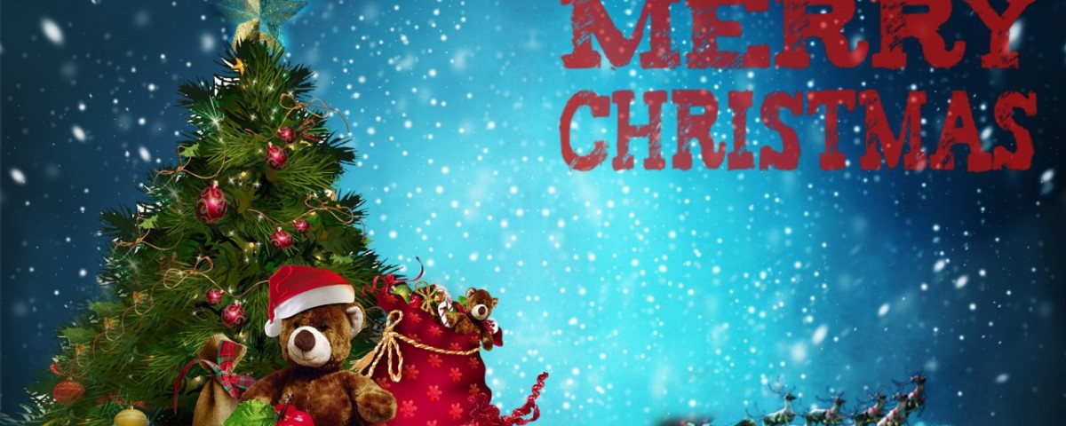 merry-christmas-at-rishikul-yogshala