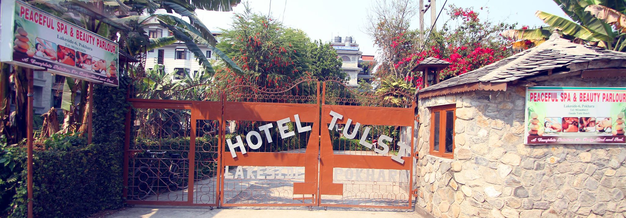 Rishikul Yogshala Nepal Hotel Tulsi