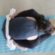 benefits of kurmasana (tortoise pose)