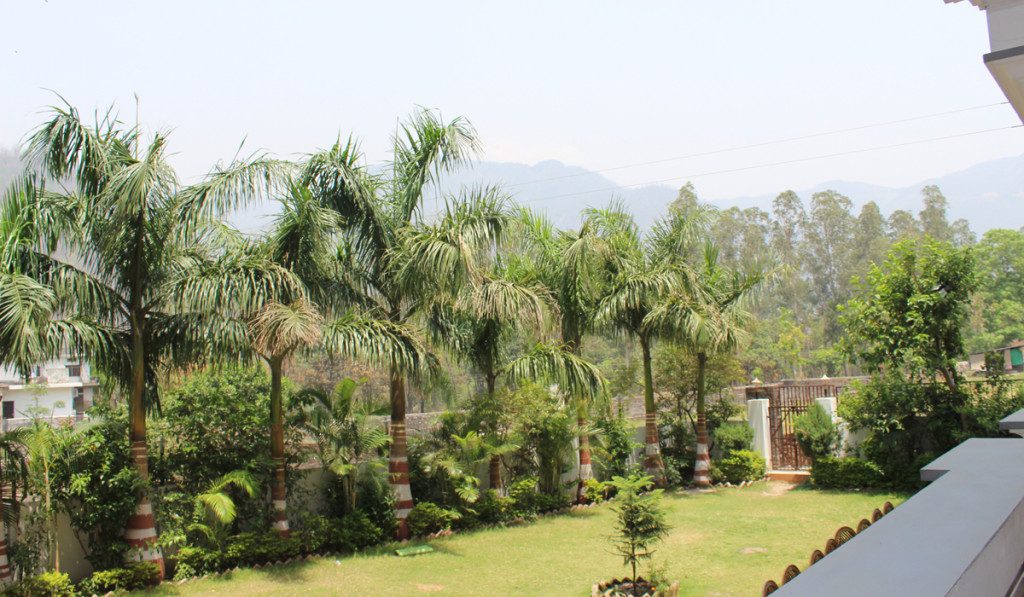 Window View from Rishikul Yogshala