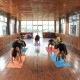 yoga in rishikul yogshala
