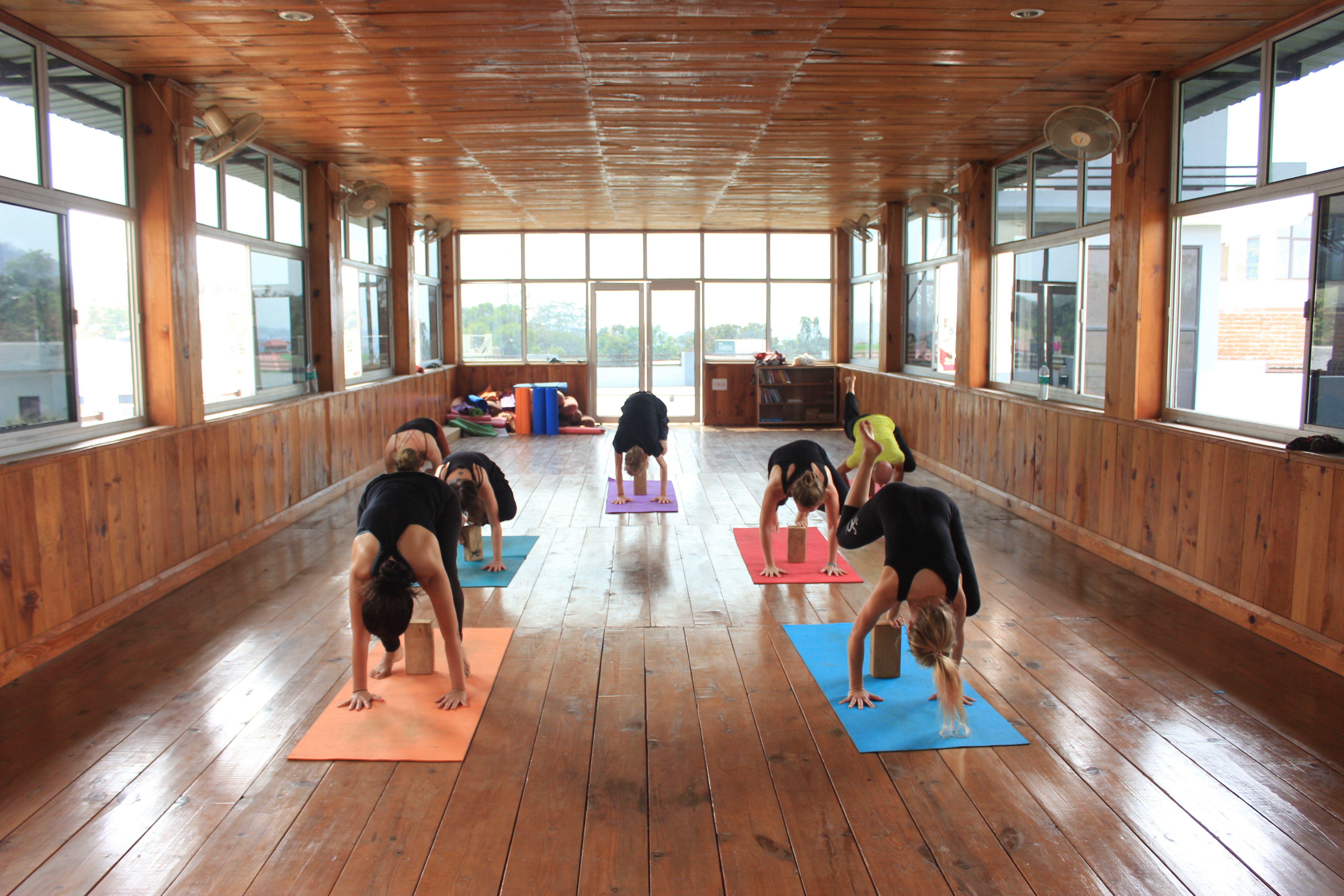 yoga in rishikul yogshala