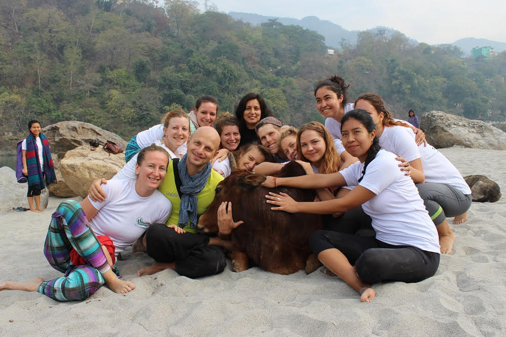 Yoga with cow at ganga beach